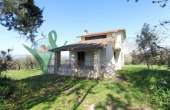 Villa singola con terreno (PASSO CORESE 229)