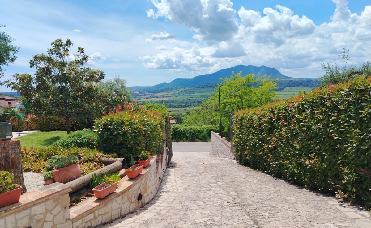 Immagine WhatsApp 2025-05-10 ore 16.09.49_42c93d63