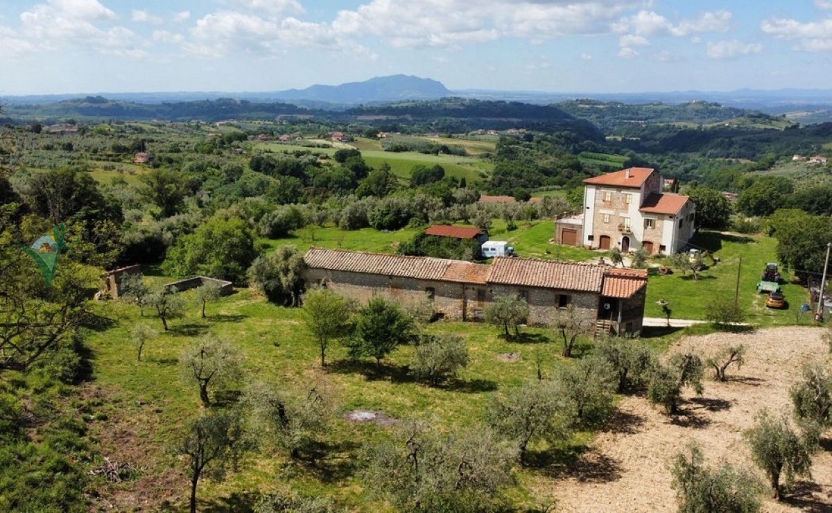 Immagine WhatsApp 2024-05-22 ore 17.18.14_7baeed07