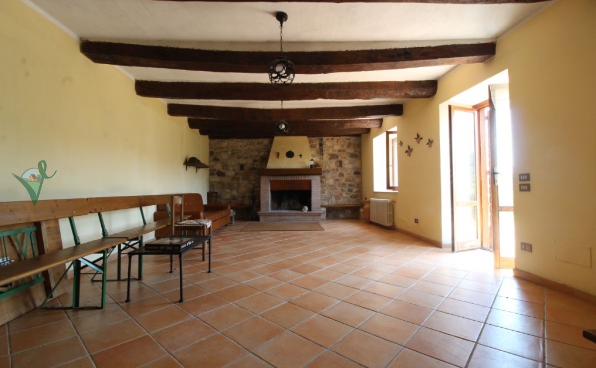 salone