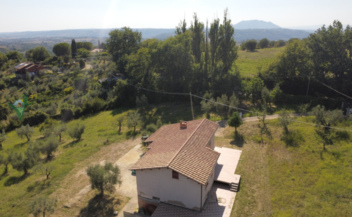 DJI_0881