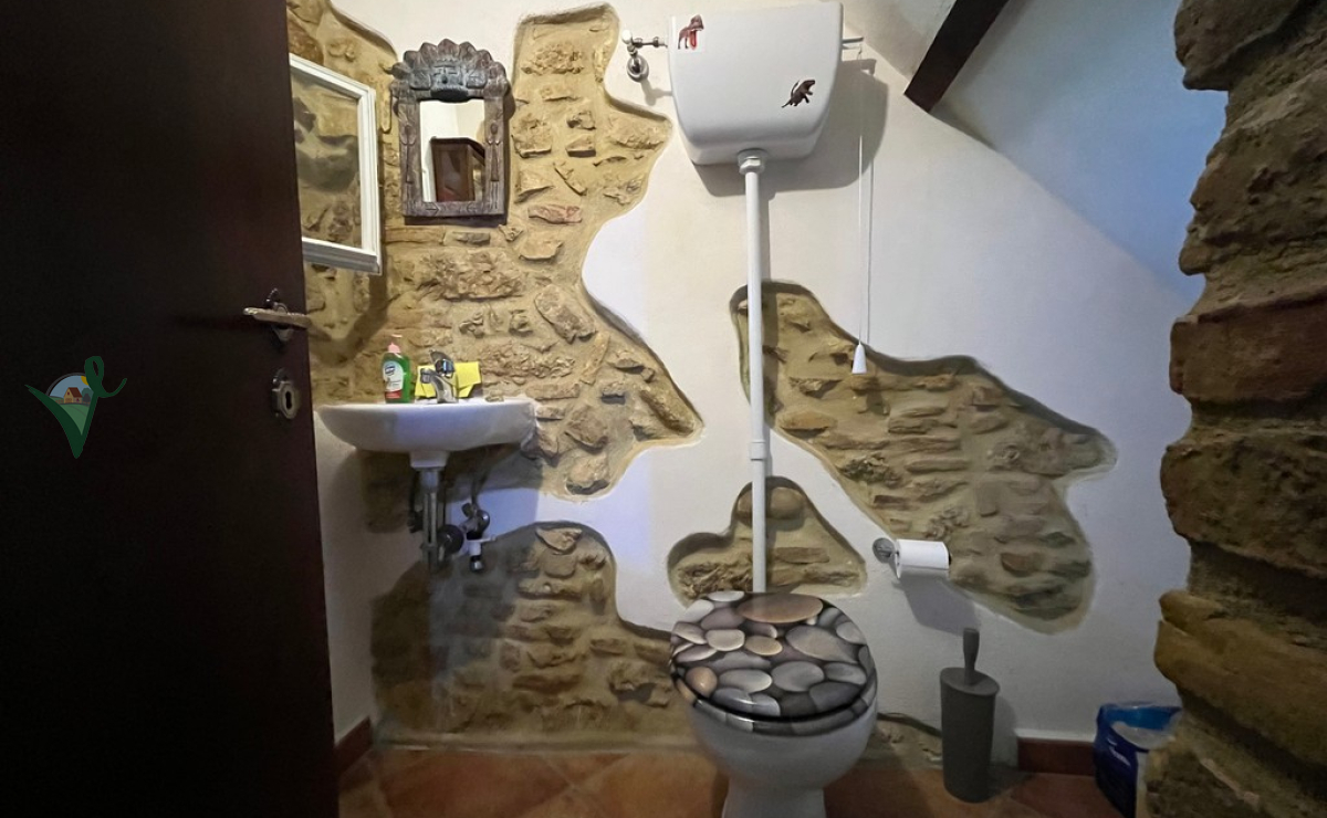 IMG_8562