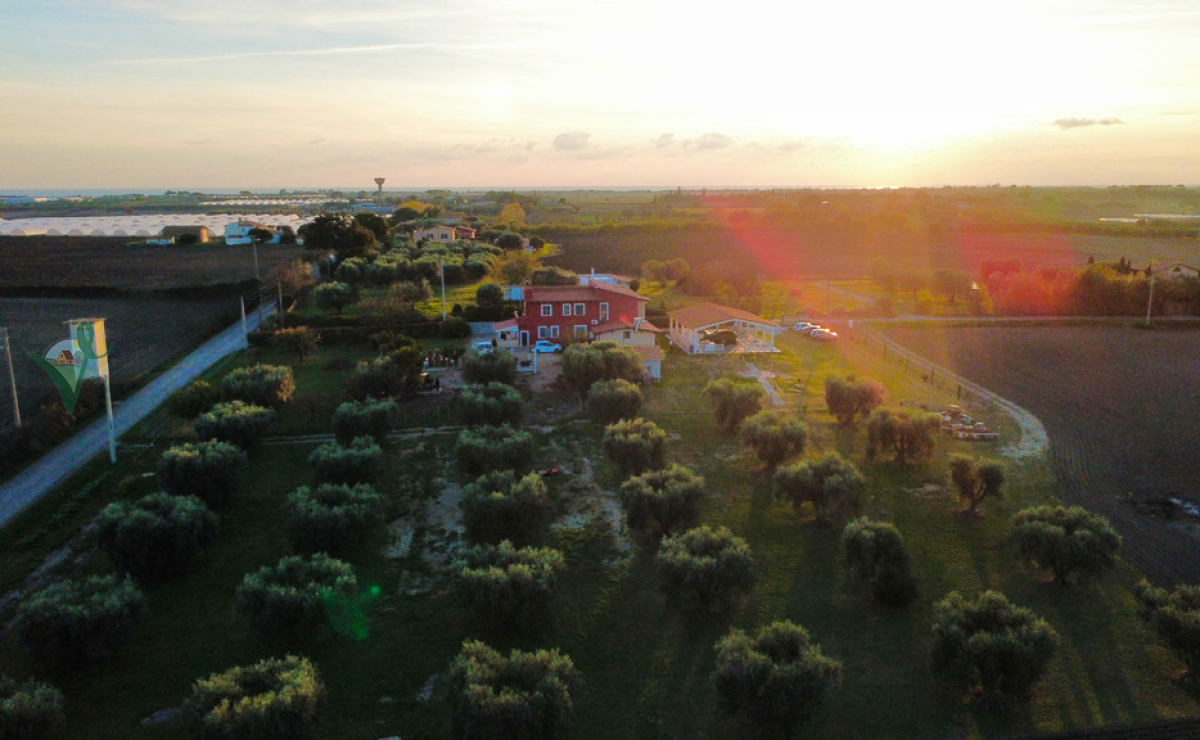 DRONE3