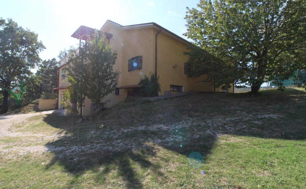 ESTERNA