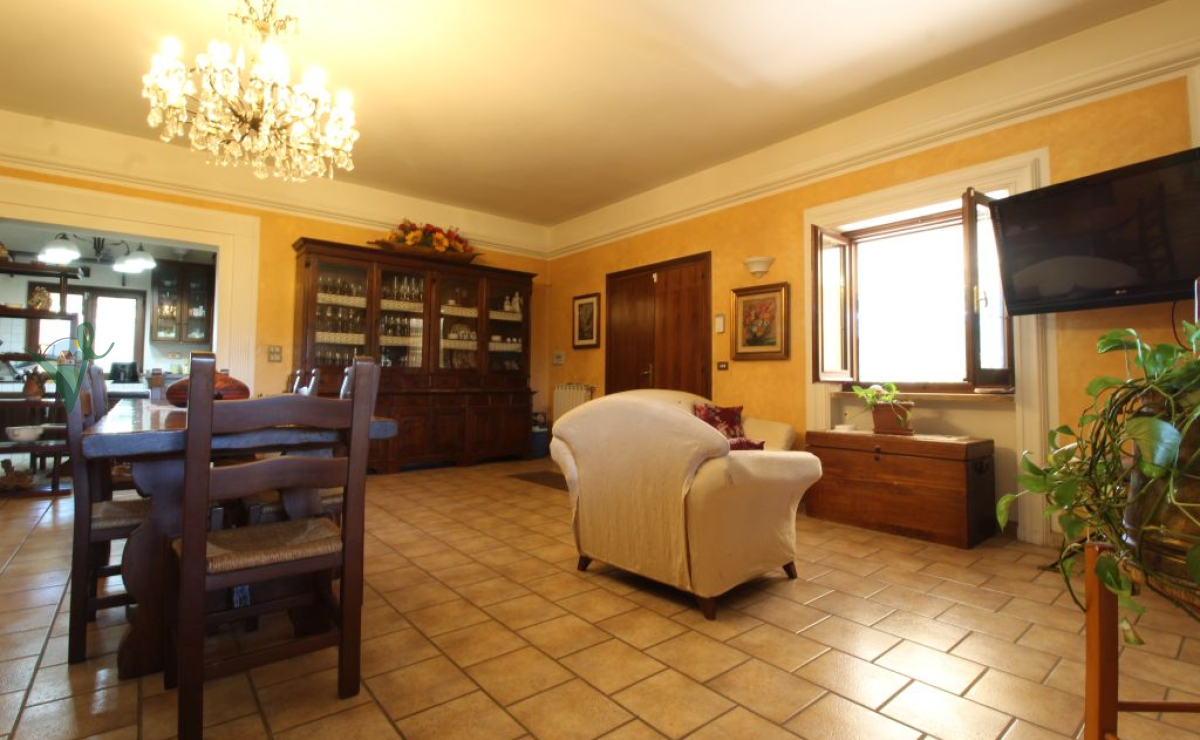 SALONE